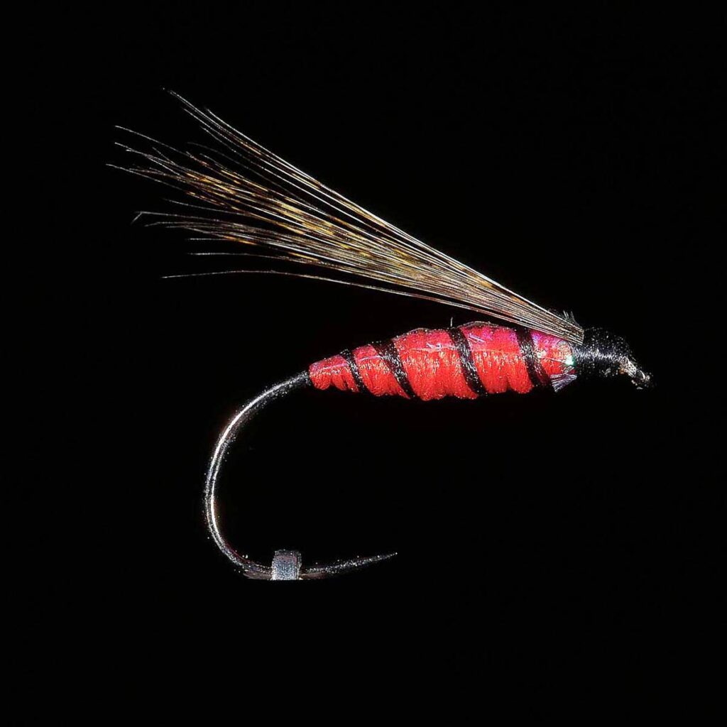 5 X 2 Plumes Quill Bleutes Pour Mouches Noyées - Fly Tying - Foto 2