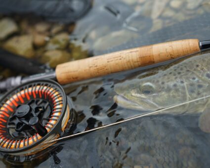 Test : Moulinet démultiplié JMC Equinoxe 46