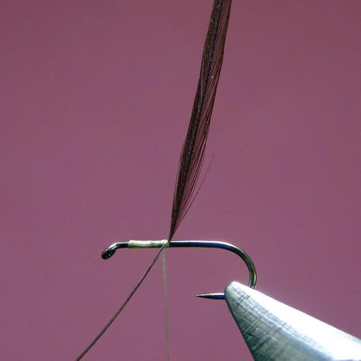 Montage Hair Wing Dun