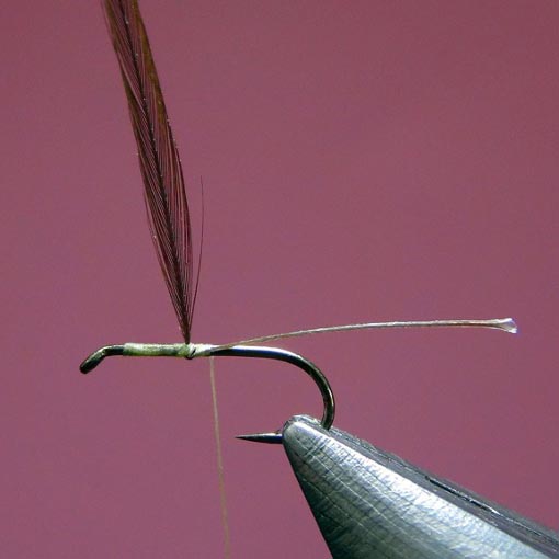 Troisième montage Hair Wing Dun