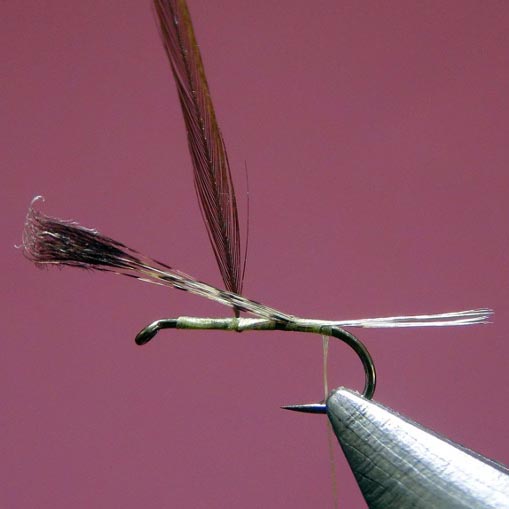 Quatrième montage Hair Wing Dun