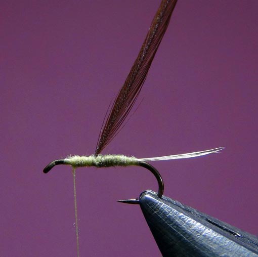 Deuxième montage Hair Wing Dun