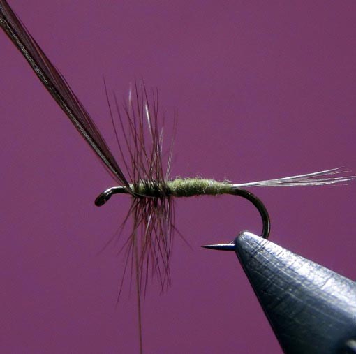 Premier montage Hair Wing Dun