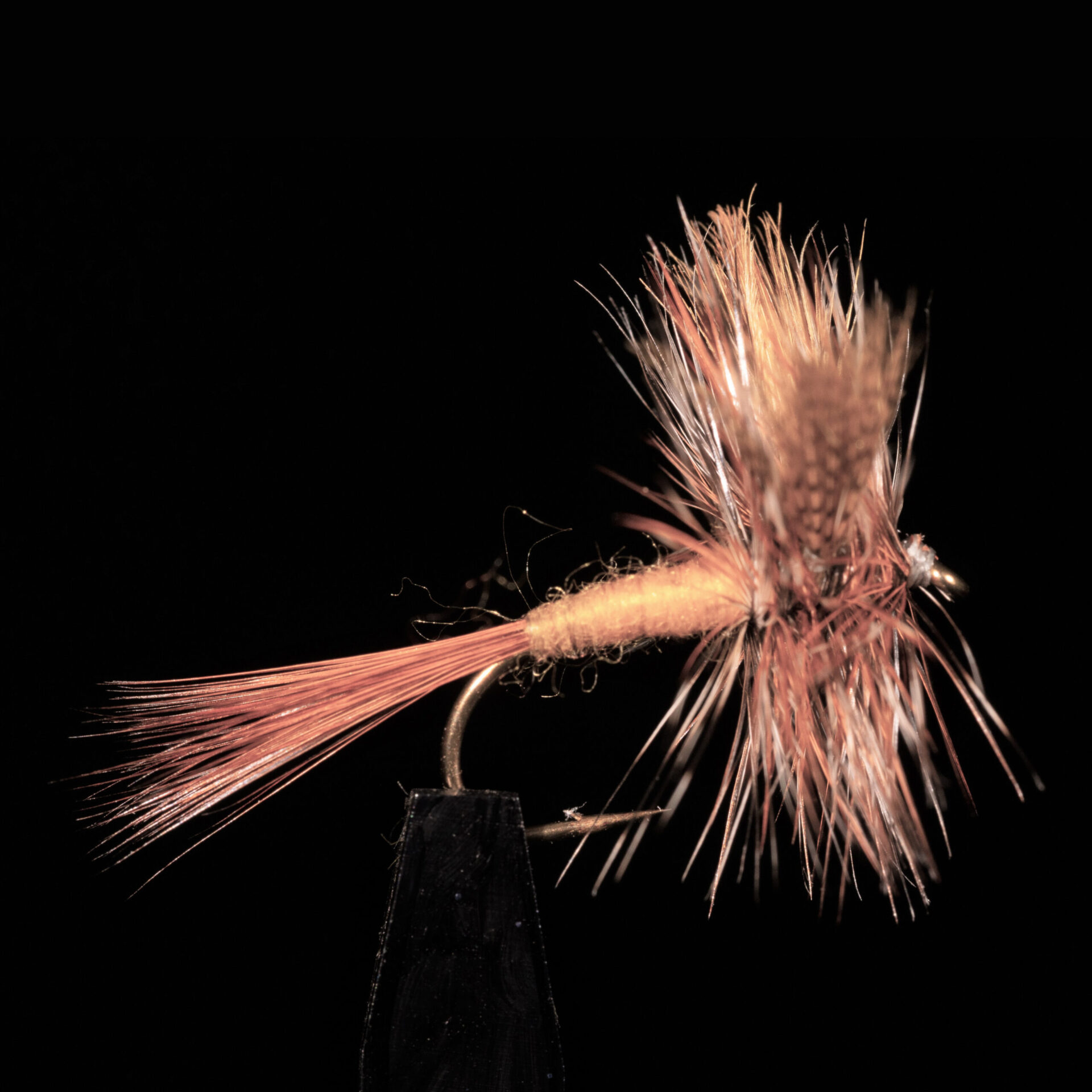 Plumes substitut de condor- L'Essentiel pour la Pêche